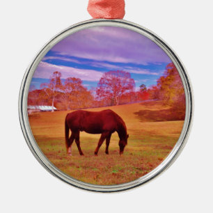 > Brown in a dreamy coloured field Metal Ornament
