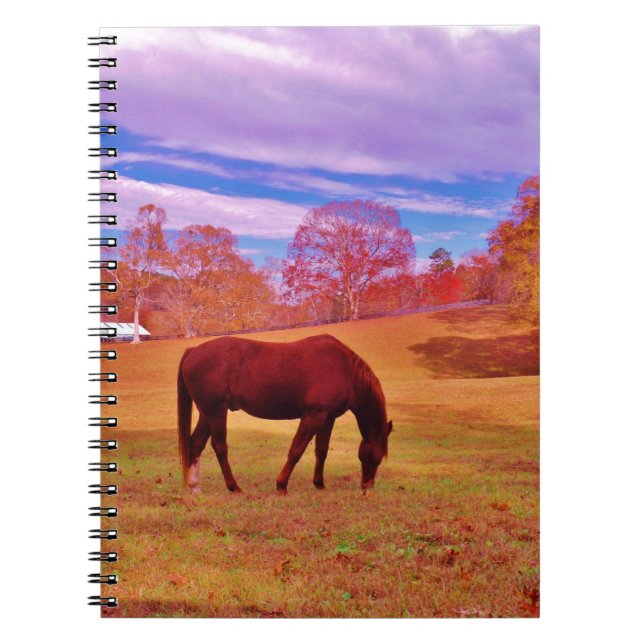 > Brown in a dreamy coloured field Notebook (Front)