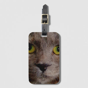 Brown Kitten Oil Paint, Luggage Tag