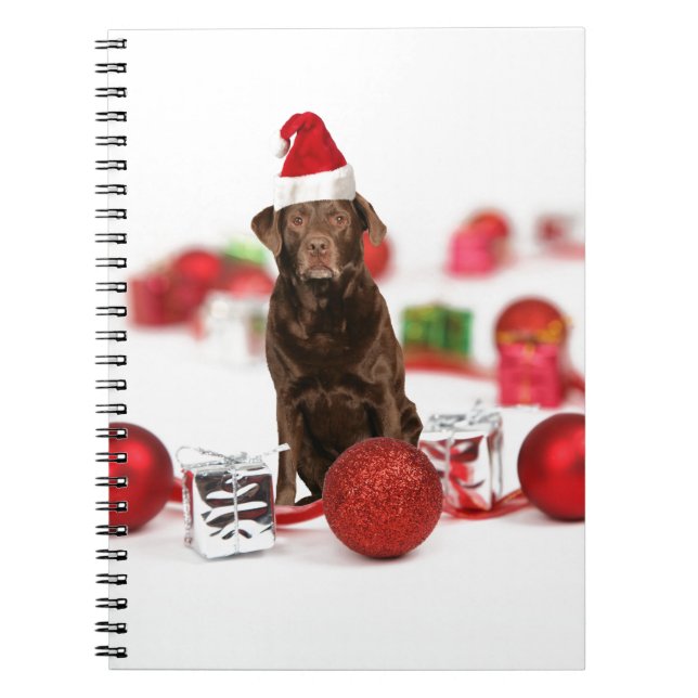 Brown Labrador Dog Christmas w Gifts Santa Hat Notebook (Front)