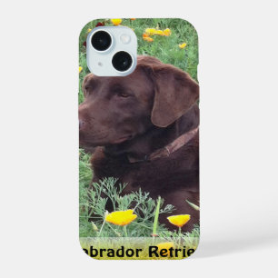 Brown Labrador Retriever in Poppy Patch iPhone 15 Case
