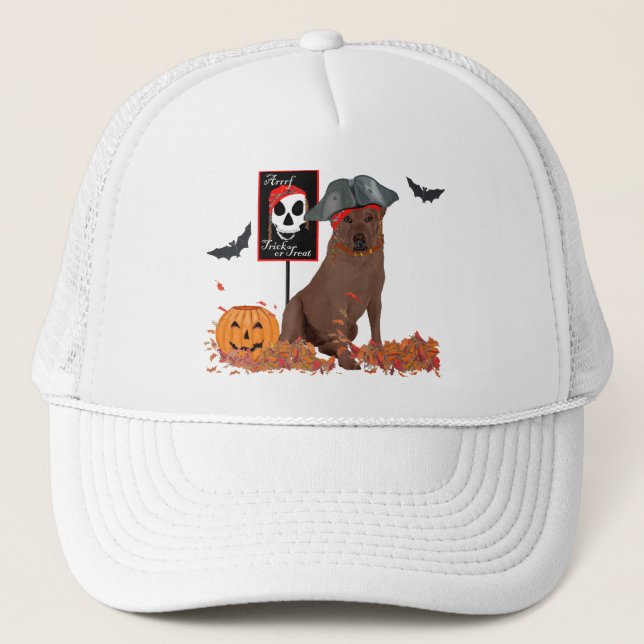 Brown Labrador Retriever Pirate Trucker Hat (Front)