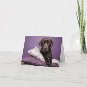 Brown Labrador Retriever Puppy Dog Blank Note Card