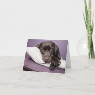 Brown Labrador Retriever Puppy Dog Blank Note Card
