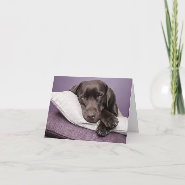 Brown Labrador Retriever Puppy Dog Blank Note Card (Front)