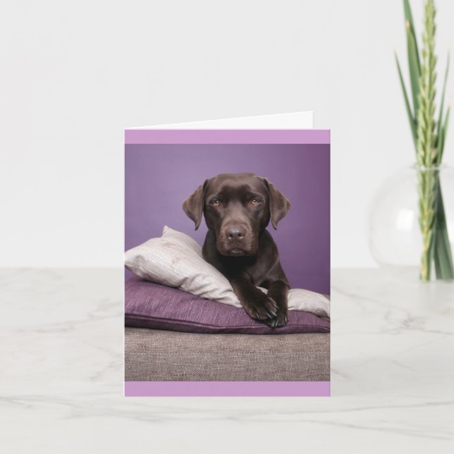 Brown Labrador Retriever Puppy Dog Blank Note Card (Front)