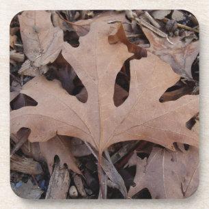 Brown Leaf Coasters. Coaster