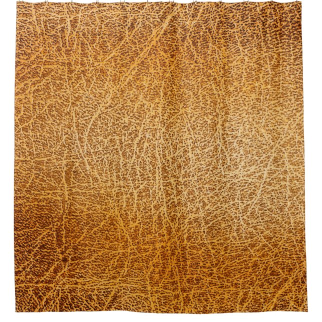 Brown Leather: Detailed Texture Closeup (Front)