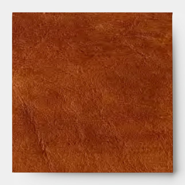 Brown Leather Envelope (Front)