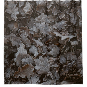 Brown leaves