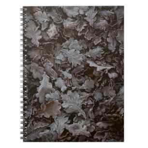 Brown leaves notebook