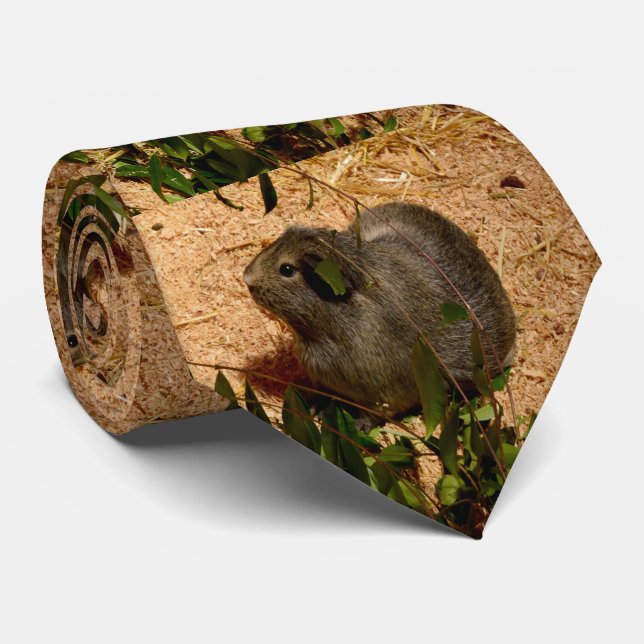 Brown Little Guinea Pig, Tie (Rolled)