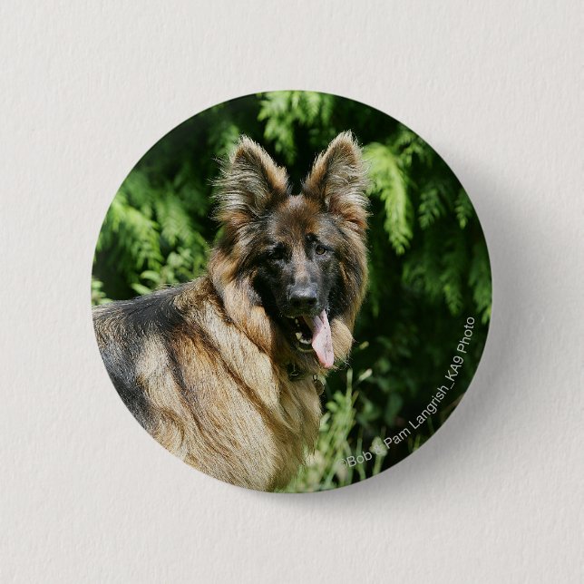 Brown Long Haired German Shepherd 1 2 Inch Round Button (Front)