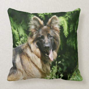 Brown Long Haired German Shepherd 1 Throw Pillow