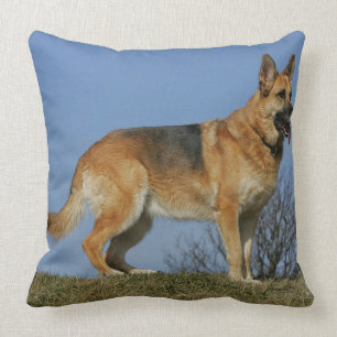 Brown Long Haired German Shepherd 2 Throw Pillow