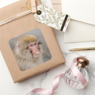 Brown Macaque Portrait Square Sticker