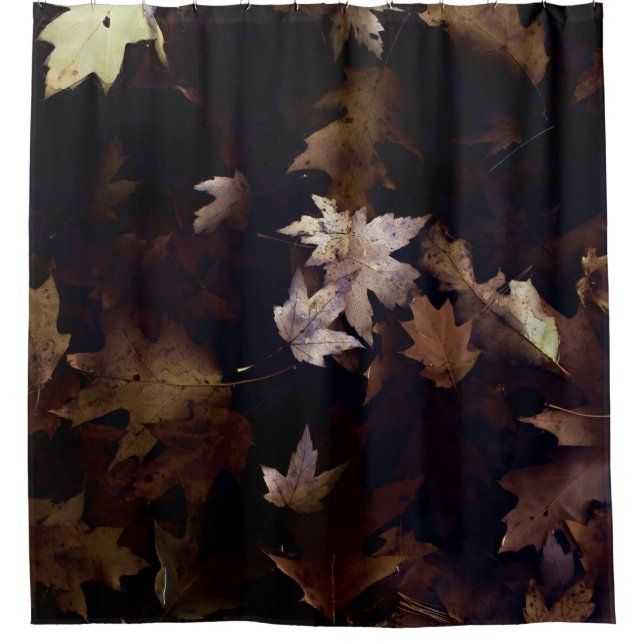 BROWN MAPLE LEAVES (Front)
