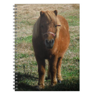 Brown miniature horse notebook
