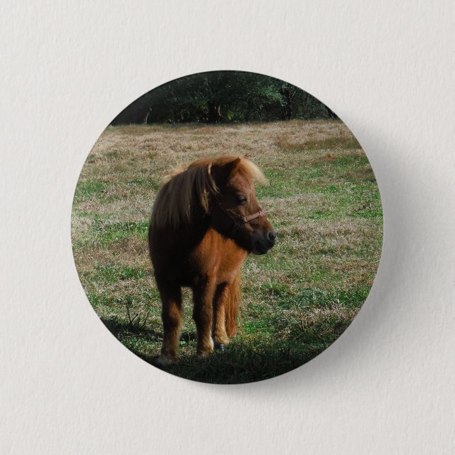 Brown Miniature Horses 2 Inch Round Button (Front)