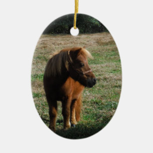 Brown Miniature Horses Ceramic Ornament