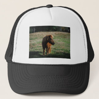 Brown Miniature Horses Trucker Hat