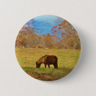 Brown miniature Pony 2 Inch Round Button