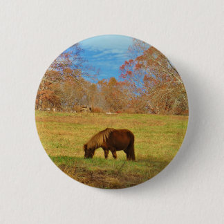 Brown miniature Pony 2 Inch Round Button