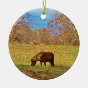 Brown miniature Pony Ceramic Ornament