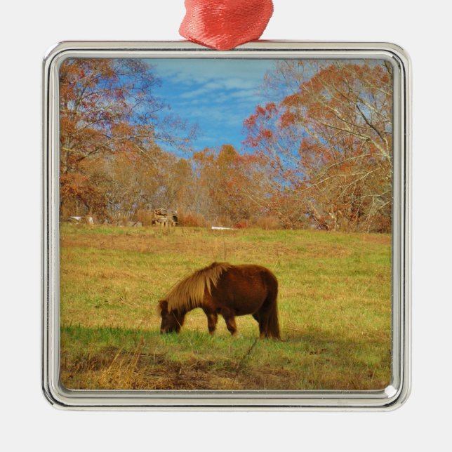 Brown miniature Pony Metal Ornament (Front)