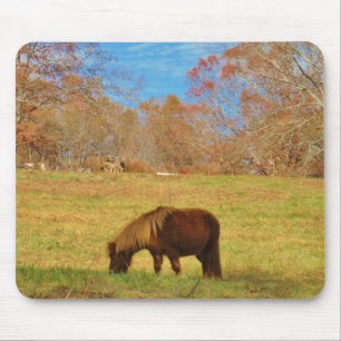 Brown miniature Pony Mouse Pad