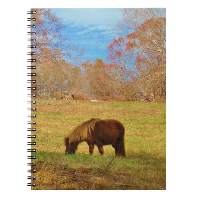 Brown miniature Pony Notebook (Front)
