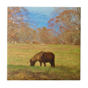 Brown miniature Pony Tile