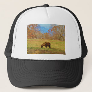 Brown miniature Pony Trucker Hat