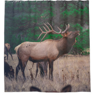 BROWN MOOSE NEAR GREEN TREE AT DAYTIME