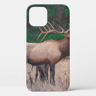 BROWN MOOSE NEAR GREEN TREE AT DAYTIME iPhone 12 CASE