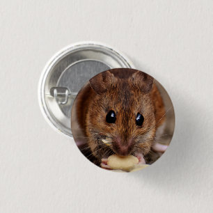 Brown Mouse Eating Peanut Close-up 1 Inch Round Button