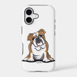 Brown n White English Bulldog Sit Pretty