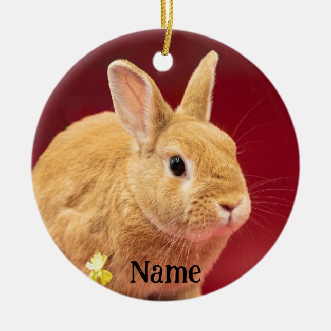Brown Neitherland Dwarf Bunny Rabbit Ceramic Ornament (Front)