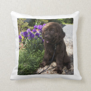 Brown Newfoundland Dog Pup Throw Pillow
