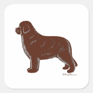 Brown Newfoundland Dog Square Sticker