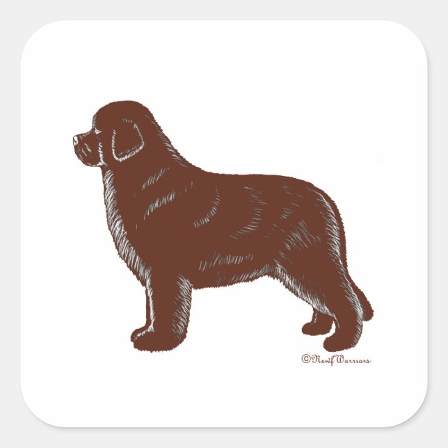 Brown Newfoundland Dog Square Sticker (Front)