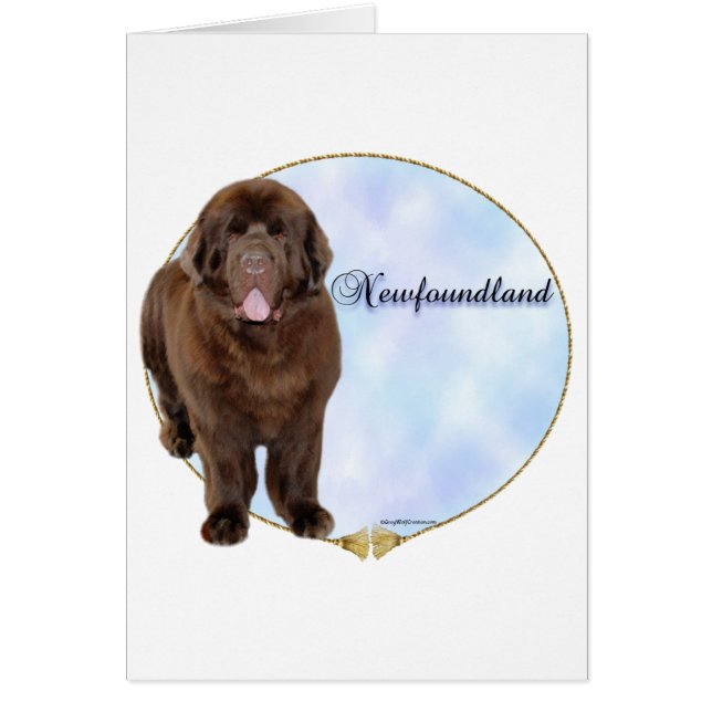 Brown Newfoundland Portrait (Front)