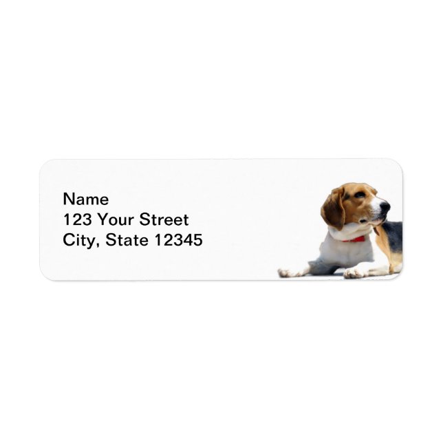 Brown noir et blanc Beagle chien Adresse de retour (Devant)