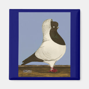 Brown Nun Pigeon Magnet