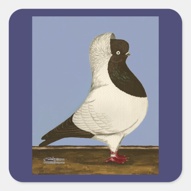 Brown Nun Pigeon Square Sticker (Front)