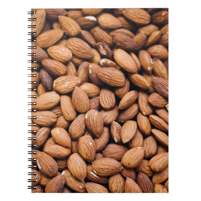 Brown nuts notebook (Front)