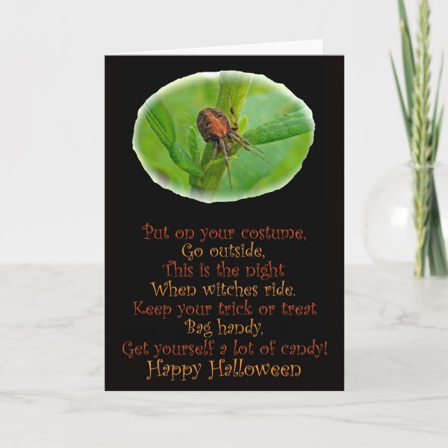 Brown Orange Araneus Halloween Card (Front)