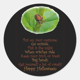 Brown Orange Araneus Halloween Sticker