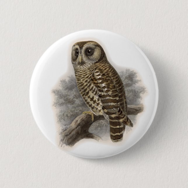 Brown Owl 2 Inch Round Button (Front)