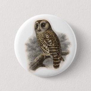 Brown Owl 2 Inch Round Button